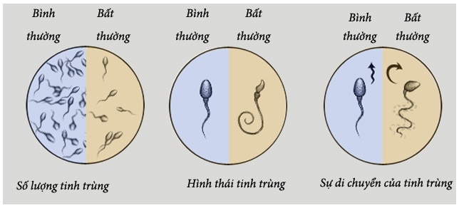 Thuốc PROXEED PLUS