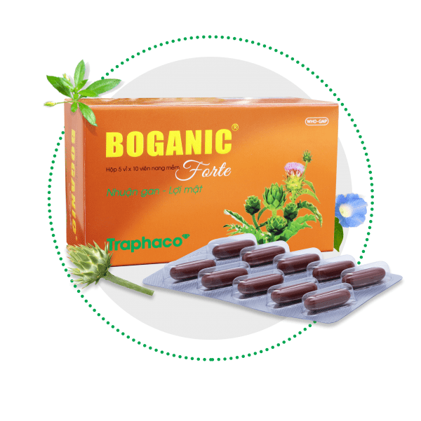 Boganic là thuốc gì? Công dụng, chỉ định và chống chỉ định